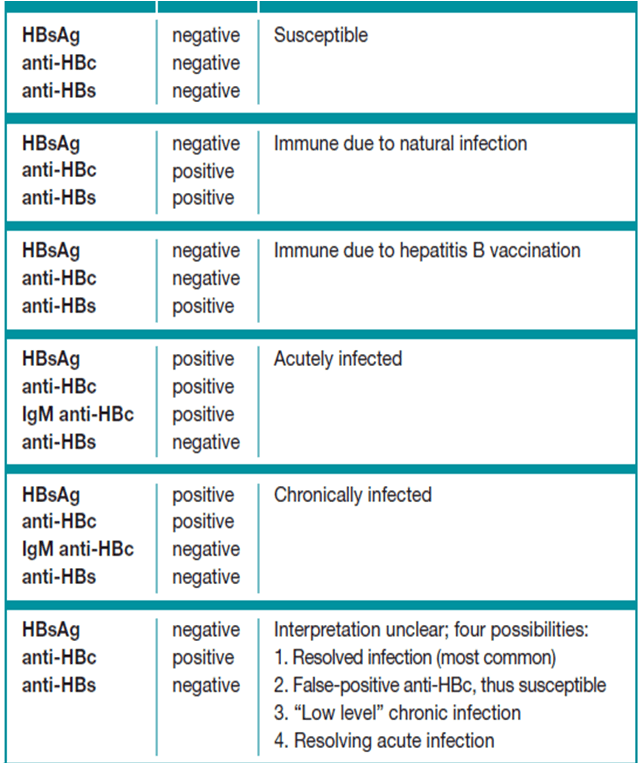 Hepatitis B Blood Tests Explained